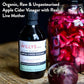 Willy's Organic ACV Apple Cider Vinegar with Mother - Probiotocs for Detox and Gut Health