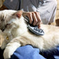 Cat Brush Shedding Grooming, Soft Massage Cat Tongue Brush, Licking Your Cat Like a Mama Cat to Comfort, Surprise Pet Gifts