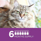 TevraPet Actispot II Flea Treatment for Small and Medium Cats 5-9 lbs | 6 Doses | Powerful Prevention and Control, Clear