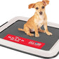IRIS USA Pee Pad Holder - Extra-Small Sized Dog & Puppy Pee Pads, Secured Latches, Non-Skid Feet, High Polish Finish for Easy Cleaning, Leak Protection, Fits 14"x17" Pad Puppy & Toy Breeds, Dark Grey