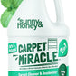 Sunny & Honey Carpet Cleaner Solution - 128 Fl Oz, Spring Mint Scent - Carpet Shampoo & Pet Stain Remover for Upholstery & Rugs, Works With Steam Cleaners