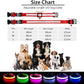 PcEoTllar Light up Dog Collar for Night Walking - LED Dog Collar Light Rechargeable Color Changing, Glow in The Dark Dog Collars Waterproof Glowing Dog Collars for Large Small Medium Dogs