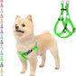 PUPTECK No Pull Dog Harness Soft Adjustable Basic Nylon Step in Puppy Vest Outdoor Walking with ID Tag, Green,S