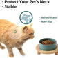 Ceramic Elevated Cat Food and Water Bowl, Kitty Bowl, Raised Cat Dish, Pet Feeder (5.1 in,1 x Dark Green + Stand)