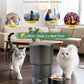 Gimars 5L/20 Cups Automatic Cat Feeder, Programmable 1-6 Meals Cat Food Dispenser with Stainless Steel Bowl, Easy Setup, Dual Power Supply,10s Meal Call Timed Pet Feeder for Cats and Small Dogs
