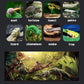Micro Habitat Terrarium Kit (4pc Set) - Acrylic Reptile & Spider Enclosure (4.7 * 4.7 * 8 Inches)