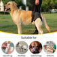 HEYWEAN Dog Sling for Large Dogs Hind Leg Support Harness Ideal for Elderly Injured Arthritic Dogs Provides Rehabilitation Aid for Weak Back Legs Comfortable and Durable Design