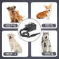 2400w 75m/s Dog Dryer for Pet Grooming, High Velocity Pet Hair Dryer with Heater, Adjustable Speed, 4 Nozzles and a Comb, Black