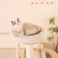 59" Modern Cat Tree Multi-Level Large Cat Tower Heavy Duty Cat Tree with Hammock,Cotton Scratching Post and Washable Cushions