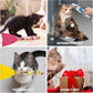 BINGPET 6 Pcs Catnip Toys for Cats,Interactive Cat Toy for Bored Indoor Kitten Adult Cats,Cat Fish Toy Filled with Natural Catnip,Cute Crinkle Cat Toy Kitten Toys Cat Chew Kicker Toy for All Breeds