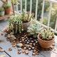 2.16LB Glass Beads Vase Filler Aquarium Gravel Decor Flat Glass Marbles Gems Pebbles Fish Tank Rocks Home Decorative Art Craft - Amber