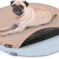 Paw Inspired Round Washable Pee Pads for Dogs (2 Pack), Reusable Puppy Pads for Potty Training, Whelping, Waterproof Mat, Leakproof, Non-Slip Liners (29 Inch, Pack of 2)