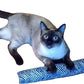 15" Catnip Kitty Kicker Toy With Refillable Catnip Pocket (Blue #1)