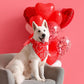 Weewooday 50 Pcs Dog Bandanas Bulk for Dogs Soft Bibs Adjustable Triangle pet Bandana for Small Medium Large Costume(Heart Pattern,31.5 x 21.7 x21.7 Inch)