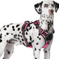 Eagloo Dog Harness for Large Dogs, Easy Wearing with 3 Buckles, Adjustable No Pull Pet Harness with 2 Rings for Walking, No Chock Reflective Soft Padded Vest with Control Handle, Pink & Black, XL