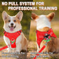 Dog Harness Step in Dog Vest Harness, Reflective Adjustable Puppy No Pull Harness Breathable Soft for Small and Medium Dogs Cats, Red, XS