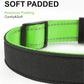 TagME Airtag Dog Collar,Waterproof Reflective Pet Collar with Airtag Holder,Soft Padded and Double D-Rings for Puppy,Green