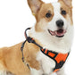 PUPTECK No Pull Dog Harness Medium Sized, Adjustable Reflective Dog Harness with Handle Easy Control, Comfortable Soft Padded Pet Vest Harness for Medium Dogs, Orange M