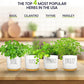 Deluxe Ceramic Indoor Herb Kit 4 Set. Variety Herbs for Indoor & Outdoor – Get Growing with Pots, Potting Soil for Window Herb Garden. (Ceramic Edition)