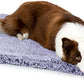 Stoutwool Indestructible Dog Bed - Fluffy Chew Proof Dog Crate Pad - Tough Kennel Pad for Aggressive Chewers - Washable, Ideal for Large Breeds & Fits 36-Inch Crate - 35"x22", Jacaranda