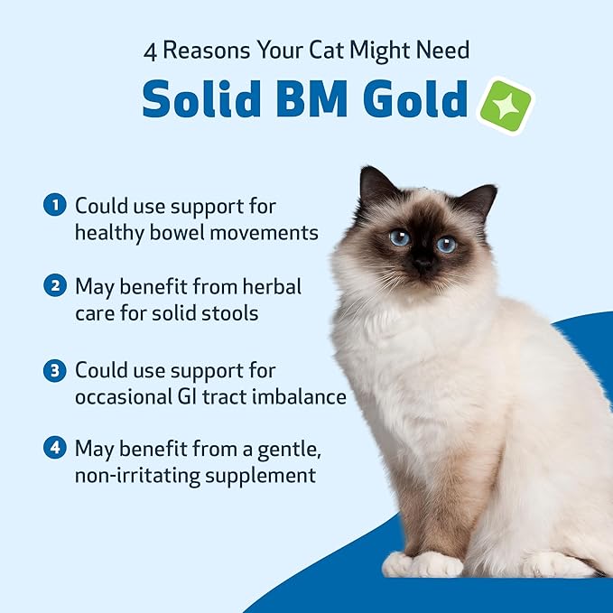 Pet Wellbeing BM Tone-Up Gold for Dogs & Cats - Supports Healthy Digestive Function, Solid Stools, Normal Bowel Movements, Bayberry - Veterinarian-Formulated Herbal Supplement 4 oz (118 ml)