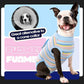 FUAMEY Recovery Suit for Dogs After Surgery,Soft Breathable Dog Bodysuit E-Collar & Cone Alternative Surgical Suit,Male Female Dog Neuter Spay Suits Anti Licking Wounds Onesie Blue Yellow Stripes S