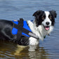 Bolux Dog Harness, No-Pull Reflective Dog Vest, Breathable Adjustable Pet Harness with Handle for Outdoor Walking - No More Pulling, Tugging or Choking (Blue, M)