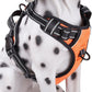 PoyPet No Pull Dog Harness, Reflective Comfortable Vest Harness with Front & Back 2 Leash Attachments and Easy Control Handle Adjustable Soft Padded Pet Vest for Small to Large Dogs (Orange,XL)