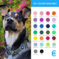 Blueberry Pet Essentials Large Dog Collar in Emerald | Adjustable & Eco-Friendly Durable Nylon Strap | Classic Collar for Large Dogs, Boy & Girl Pets
