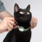 Safety Cat Collar - U.S. IDA Gold Awarding Design, Stretch Non Breakaway Elastic Quick Release, Light Weight Adjustable for Kitten, Neck Fit 7.8'-15.7' for All Small Large Cats,M(Blurple)