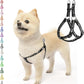 PUPTECK No Pull Dog Harness Soft Adjustable Basic Nylon Step in Puppy Vest Outdoor Walking with ID Tag, Moon Star Black, S