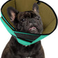 Small Dog Cone Collar, Adjustable Soft Dog Cone for Small Dogs to Stop Licking, Breathable Pet Recovery Cone for Small Male Female Dogs, Green S