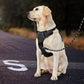 IVY&LANE No Pull Dog Harness for Large Dogs, Dog Vest Harness with Leash, Safety Belt and Storage Strap, Fully Adjustable Harness, 360° Reflective Strip, Soft Handle (Black, XL)