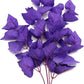ALEGI Silk Aquarium Plants, 16 Inch Artificial Silk Plants Decorations for Fish Tank,Aquarium Décor Plastic Plants (Purple, 2 Pack)