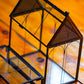 NCYP Small Glass Spider Enclosure with Mesh for Jumping Spiders, Snails, Micro House Shaped Front Opening Plant Terrarium, Home Decor Black, 5.8" x 3.8" x 7" (Terrarium Only)