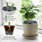 10LB Black Pea Gravel for Landscaping, 3/8 Inch Black Pebbles for Plants Cactus Succulent Fish Tank and Garden Black Stones
