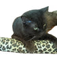 Extra Large 18" Catnip Kicker Toys/Kitty Kick Sticks/Cat-Nip Kick Sticks (Leopard) (Kickers Filled with 1 oz Premium Canadian Catnip)