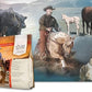 UltraCruz® Equine Probiotic Powder, 5 lb