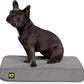 K9 Ballistics Tough Rip-Stop Orthopedic Rectangle Dog Bed Removable Washable Cover, Solid Orthopedic Foam for Size S Dogs 24"x18", Light Gray Velvet