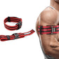 Bands Blood Flow Restriction Bands for Arms Legs & Glutes Extra Wide 2" Straps for Occlusion Training Quick-Release Elastic Strap Ideal for Muscle Growth Without Heavy Weights