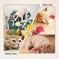 Interactive Cat Toys for Indoor Cats, 360° Smart Automatic Kitten Toys Self Rolling Pet Ball, Moving Dog Cat Ball with Mesh Tail for Bored, USB Rechargeable (Red)