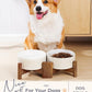 Getstar Ceramic Dog Bowls with Acacia Wood Stand, 30 fl oz, Set of 2, Dog Food Bowl, Cat Bowls (6.5 inches) (Vintage White)