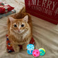 10-Pack Cat Toy Balls for Kittens and Adult Cats, Furry Fun (1.5'' - 2.1'', Cat Toys Value Pack)