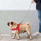 Didog No Pull Dog Harness with Breathable Mesh Padded, Full Reflective & Quick Fit Adjustable Vest Harness, Easy for Training Walking for Small & Medium and Large Dogs (Red, S:Chest 18-22")