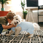 Nanaki Dog Surgery Suit Female Spay, Leg Sleeves for Dog Rear Legs, Doggy Onesie for Surgery Female, Doggy Recovery Suit Male Abdomen, Pet Wound Care Heal Protector, Surgical Suits for Pet Spay