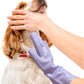 Pet Grooming Gloves，Heat-Resistant Silicone Gloves with High-Density Teeth for Enhanced Massaging and Bathing of Dogs and Cats (Purple, 1 Pair)