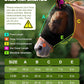 JWODVNTH Fly Masks for Horses with Ears - Large Eye Space, Comfort, UV-Block - Horse Fly Mask for Daily Stable, Hot Weather Riding, and Competition - Full, Black