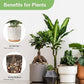 2.5 lbs Drainage Rocks for Potted Plants, 1/5 Inch Small Pebbles for Indoor Plants, Decorative Gravel for Vases, Bamboo, Succulent, Terrarium, Crafts, Cactus