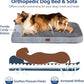 Bark Alley Jumbo Memory Foam Orthopedic Bed - Waterproof Washable Cover, Perfect for Medium, Large, and Extra Large Dogs, Sofa and Couch