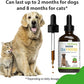Pet Wellbeing Old Friend for Senior Dogs & Cats- Supports Immune System Health, Joint Mobility, Healthy Energy Levels, Alfalfa, Reishi - Veterinarian-Formulated Herbal Supplement 4 oz (118 ml)